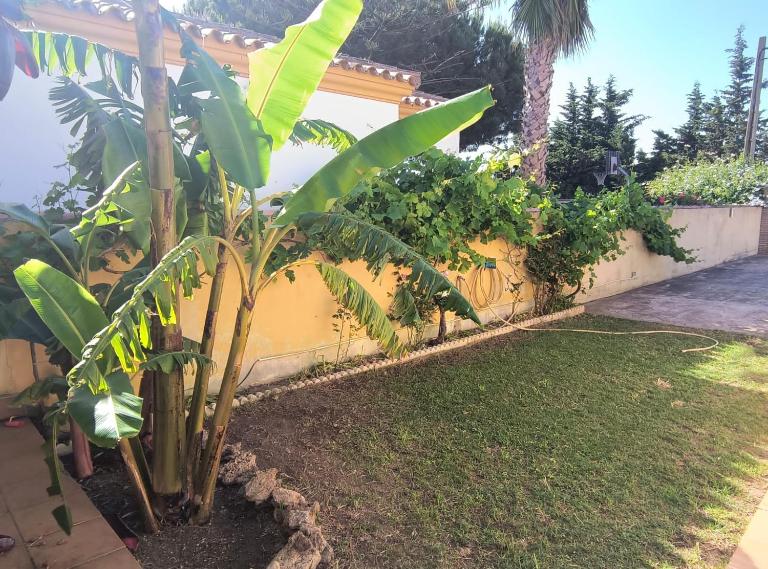 Villa Sofía - Ferienwohnung Chiclana de la Frontera