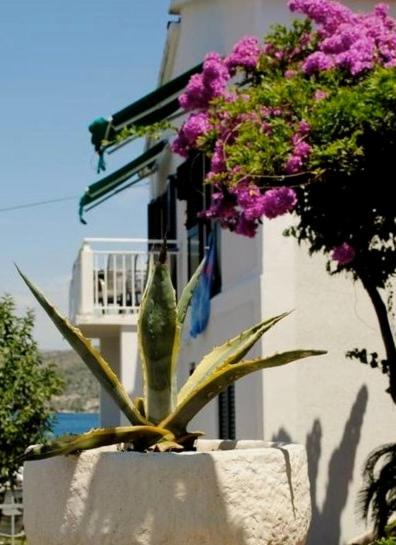 3 bedroom Apartment on the sea with garden - B&B Ražanj