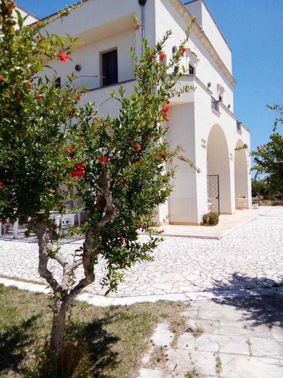 Tenuta degli Agrumi - B&B Carmiano