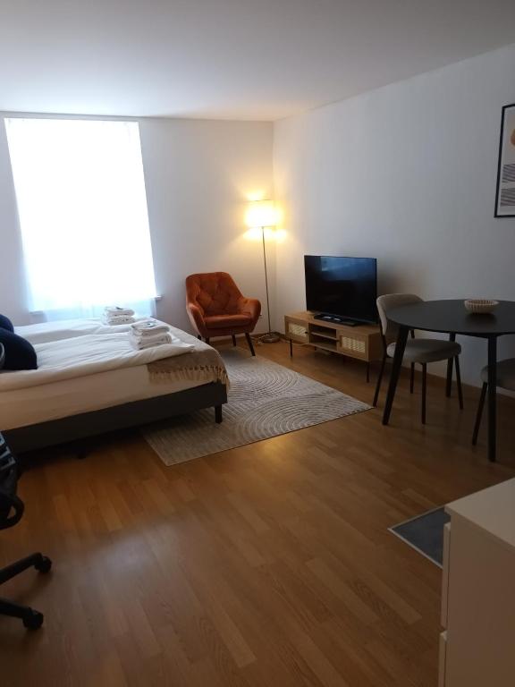 Studio at famous Storchengasse - Stork 44 - Ferienwohnung Zürich