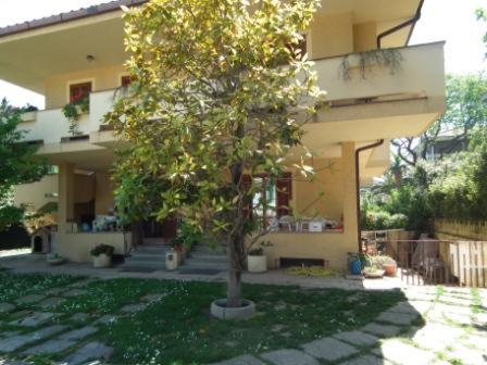 Villino Irma Camere e appartamenti con giardino vicino al mare - B&B Porto San Giorgio