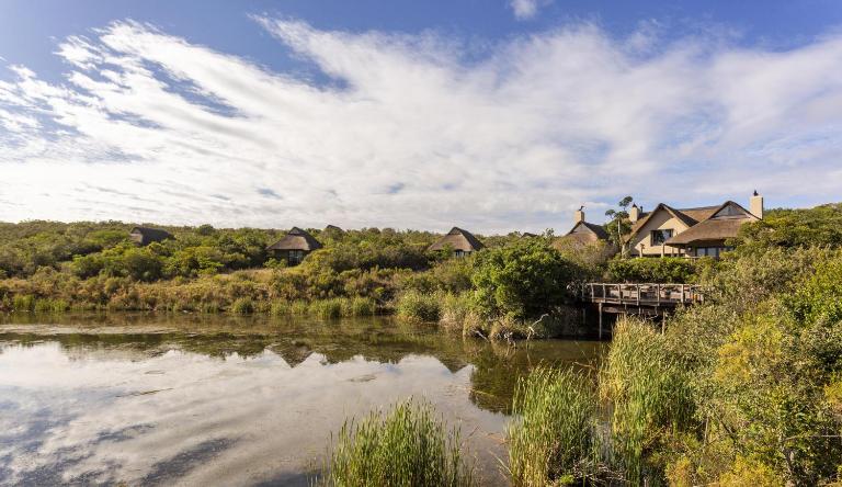 Lalibela Wildlife Reserve - Kichaka Lodge - B&B Paterson