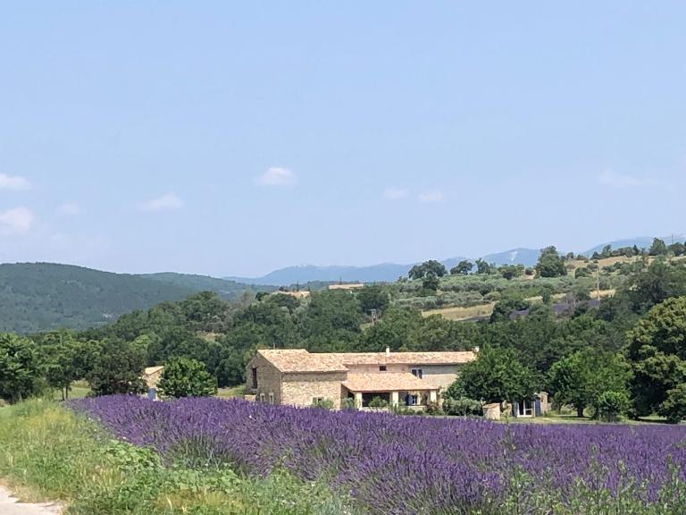 Mas du 18e siècle au calme entouré de champs de lavandes - Bed and Breakfast Pierrerue