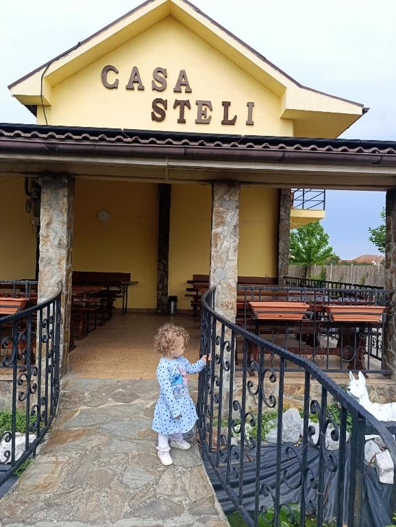Pensiunea Casa Steli - Bed and Breakfast Haieu
