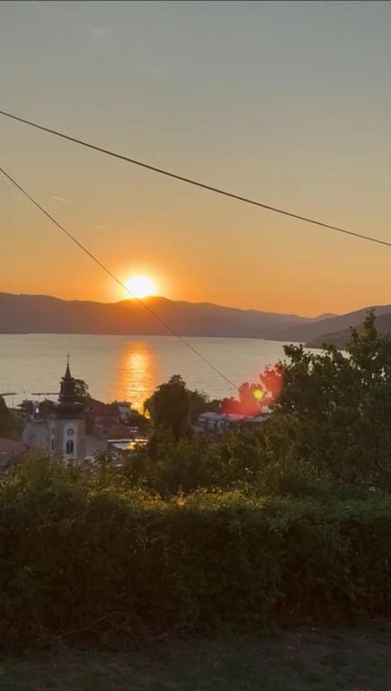Apartman Dunavska Oaza - Ferienwohnung Donji Milanovac