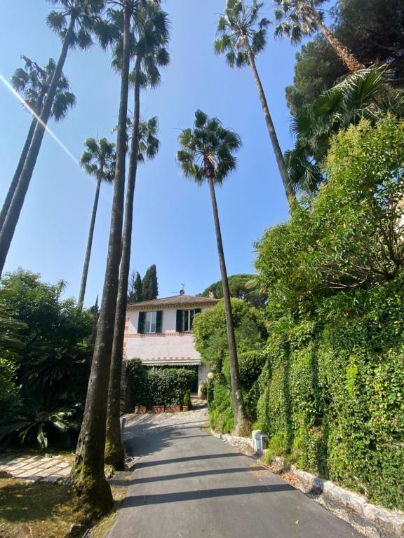Casa Orsi - Villa in San Michele - B&B Rapallo
