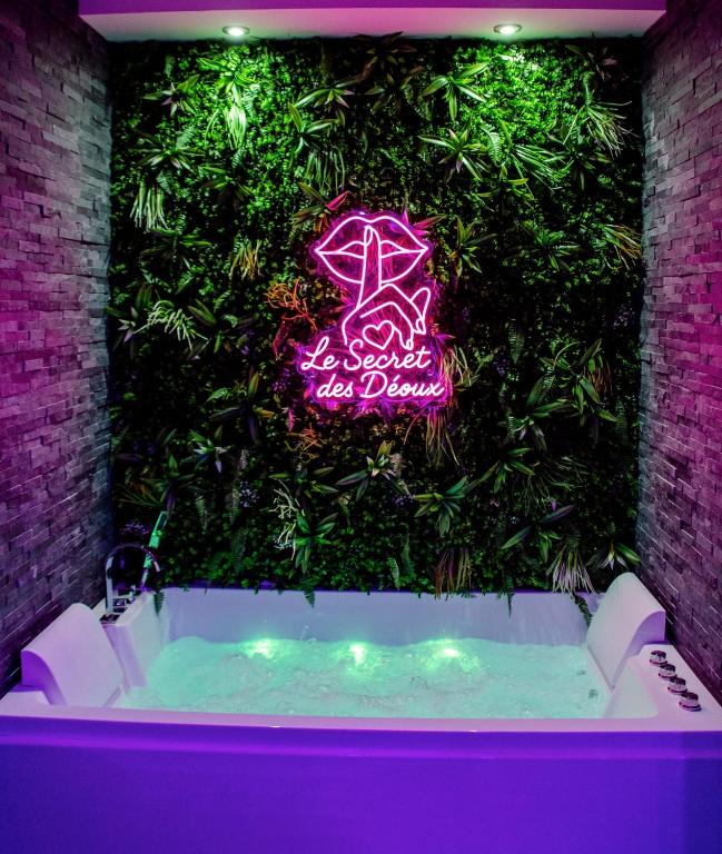 Le secret des déoux love room - B&B Forcalqueiret
