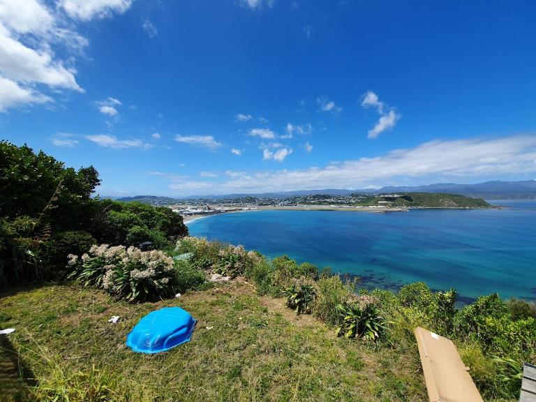 Incredible Views - Bed and Breakfast Wellington