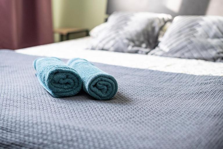 Fanta flat France Suisse - B&B Saint-Louis