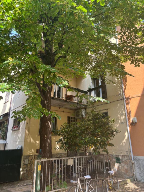 Casa in centro a Bologna - Giardini Margherita - B&B Bologna
