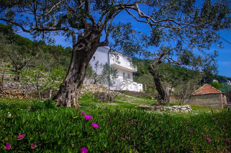 Apartments Frano Ropa - B&B Ropa