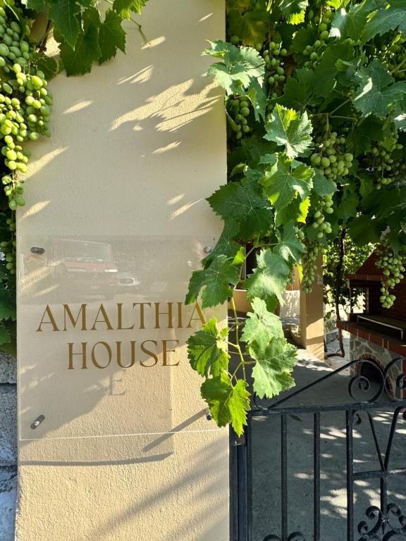 Amalthia House - Chambres d'hôtes Samos