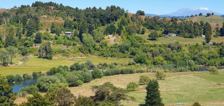 Te Tirohanga (The View) - B&B Taumarunui