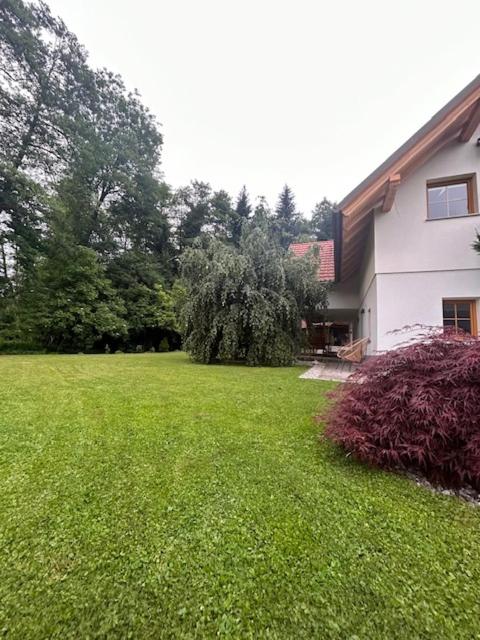 Natura - B&B Radovljica