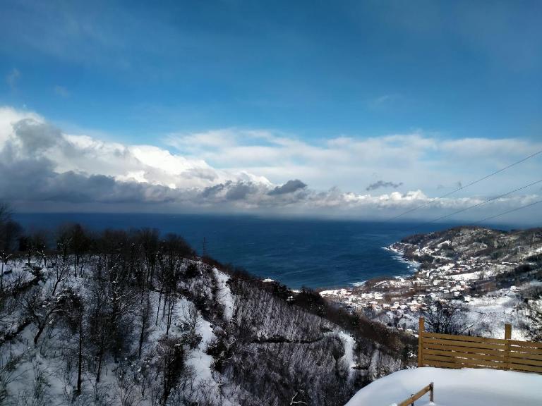 Opera Bungalov - Bed and Breakfast Ordu