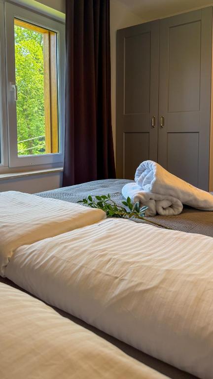 Apartamenty Drewno i Kamień - B&B Wetlina