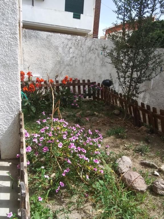 Orchidea House - B&B Sant'Antioco