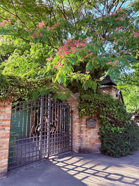Tiny Home L&B - B&B Belgrado