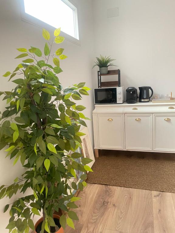 Hostal Jimena restaurante el Porvenir - Chambres d'hôtes Martiherrero