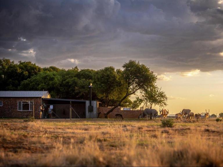 Anna Africa Guest House - B&B Bloemfontein