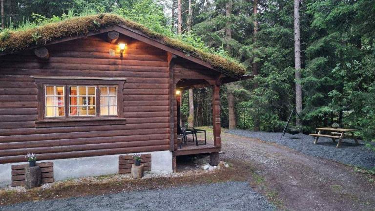 Skogshytte - Chambres d'hôtes Holmøyane