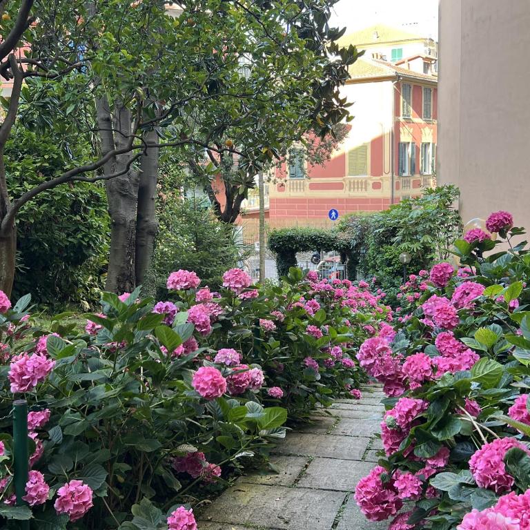 Aquarium Apt SML - Parcheggio Gratis, Terrazzo - B&B Santa Margherita Ligure