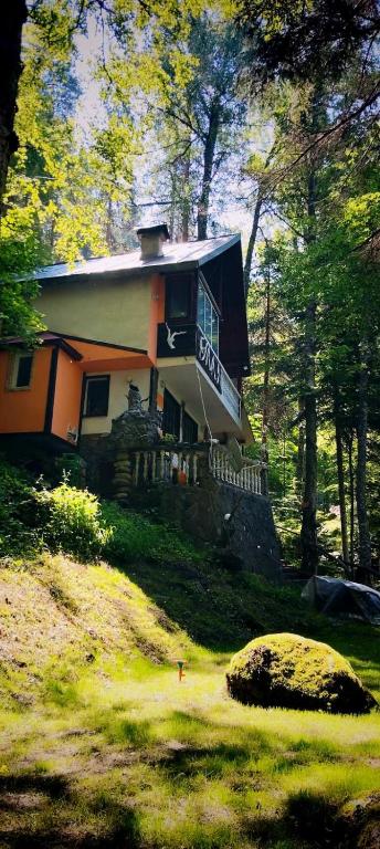 Villa Byala Luna - Guest House - B&B Bistritsa