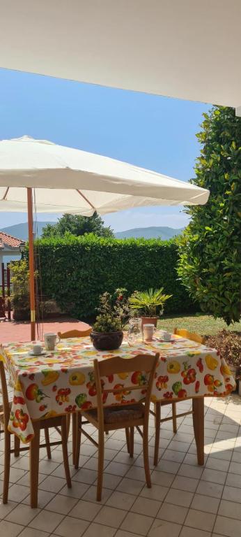La Magnolia - Bed and Breakfast Fiuggi