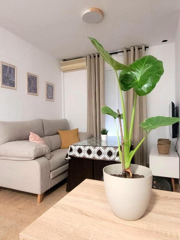 Casa VILLaRAN - B&B Moguer