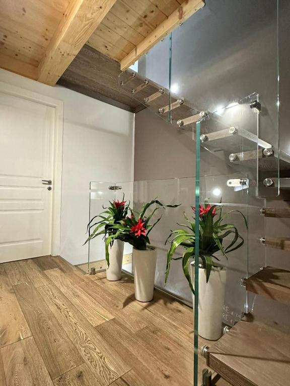 Suite Aura Marina - B&B Civitanova Marche