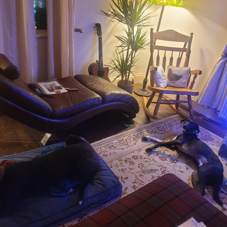 West side - B&B Marton