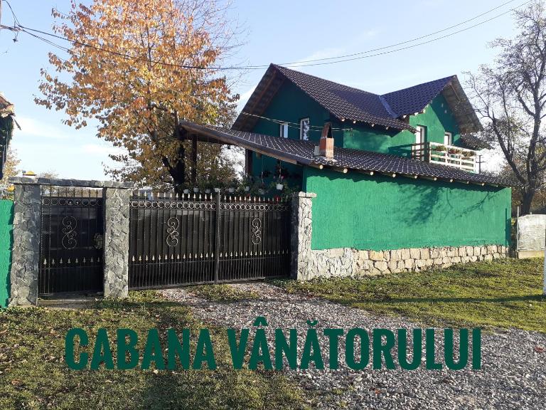 Cabana Vanatorului - Bed and Breakfast Șandra