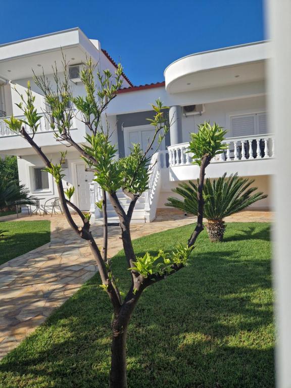 Villa Orangerie - Where Luxury Meets Serenity - Bed and Breakfast Káto Ássos