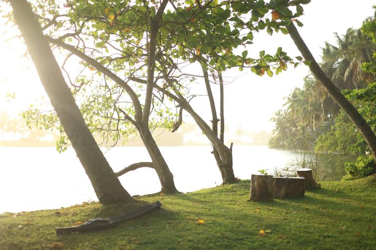 River Loom - B&B Kovalam