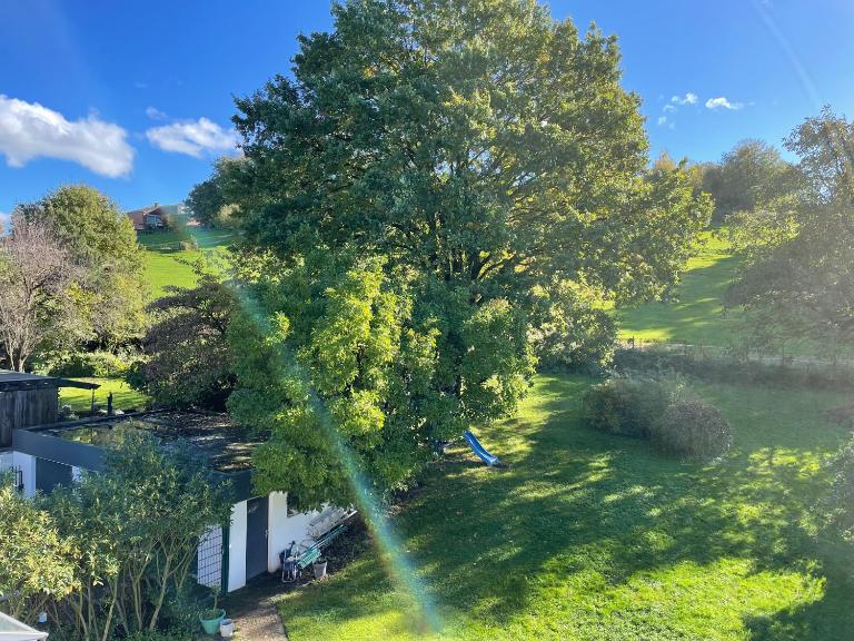 Gemütliches Studio in ruhiger Lage mit Klimaanlage, Netflix und Parkplatz - B&B Hattingen