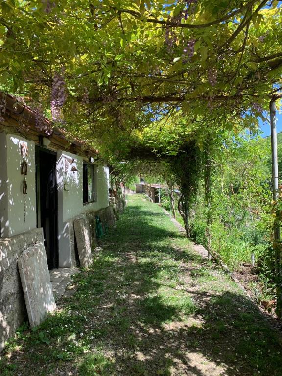 Tra Fiori e Antichità - Bed and Breakfast Cerchiara