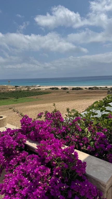 Vue mer & montagne, plage à pied & tranquillité assurées - B&B El Haouaria