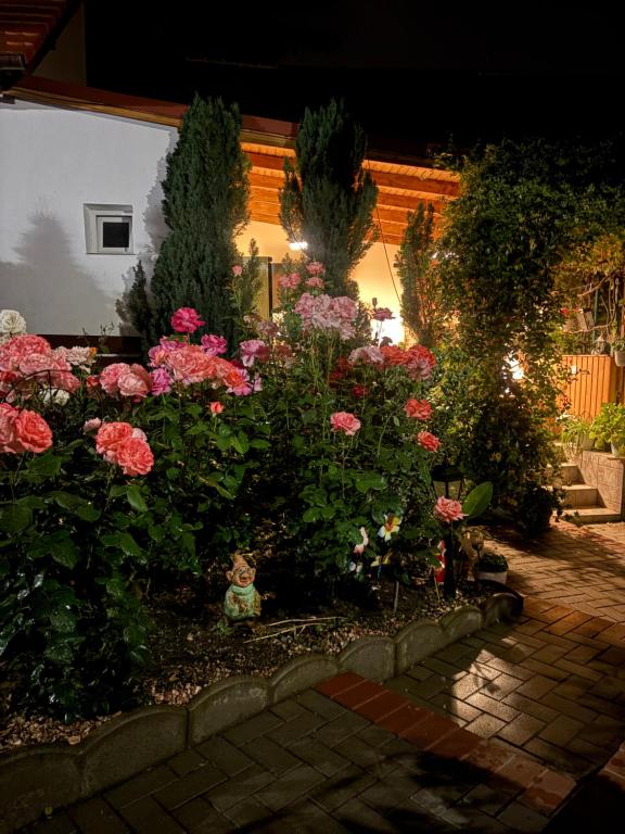 Color Home Hermannstadt 1 - B&B Sibiu