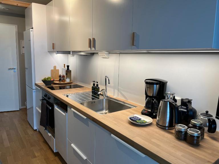 Studio near alpineslope at Narvikfjell, free parking - Ferienwohnung Narvik