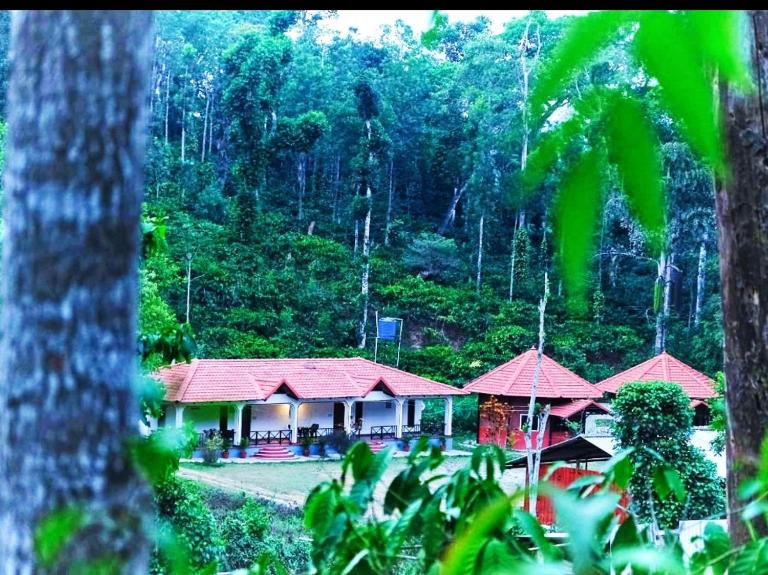 THE DOCkSIDE INN - B&B Madikeri