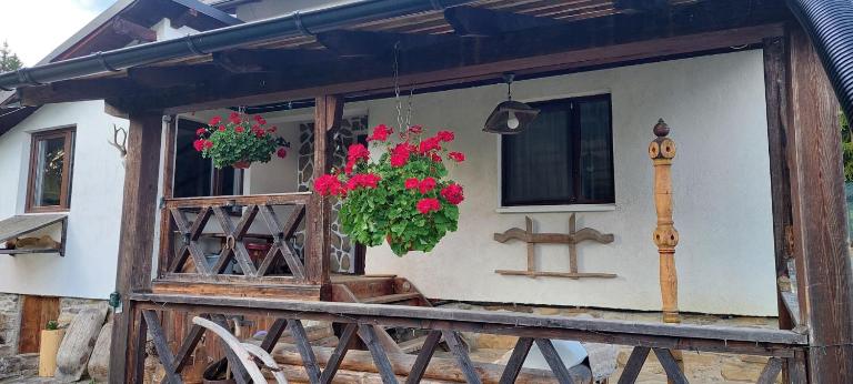 Doru' Bucovinei - B&B Moldoviţa