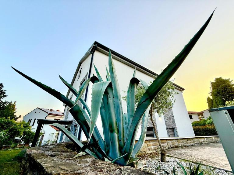 Apartma Lavanda Portorož - Chambres d'hôtes Portorož
