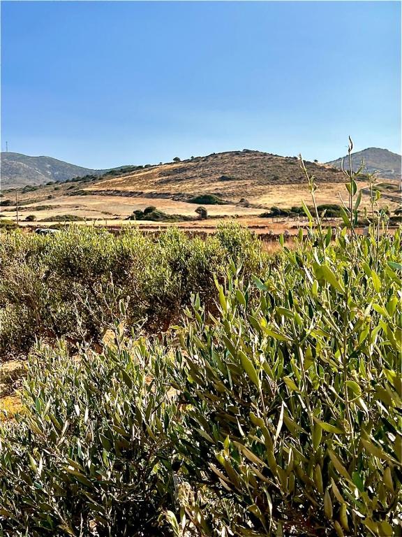 Ampelonas Antiparos - B&B Antíparos