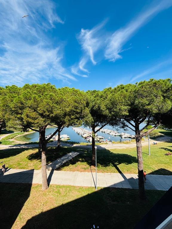 Studio vue berges avec piscine - B&B La Grande-Motte