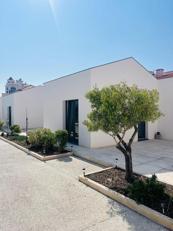 Casa do Meio #5 - Bed and Breakfast São Martinho do Porto
