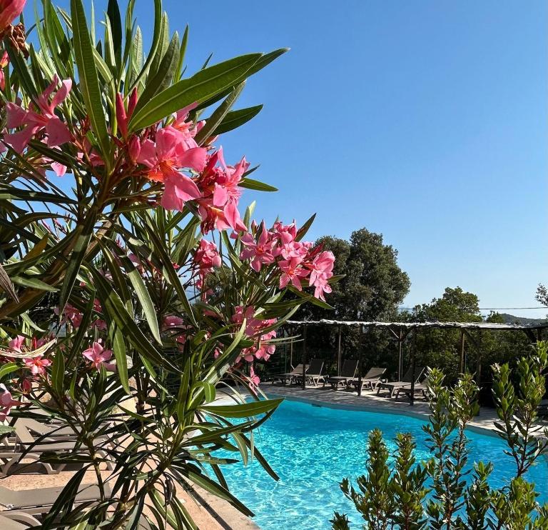Villa Roccapina - PortoVecchio - B&B Sotta