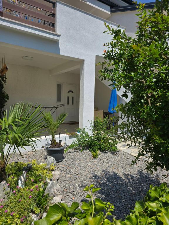 Apartment Knežević 2 - B&B Jadranovo