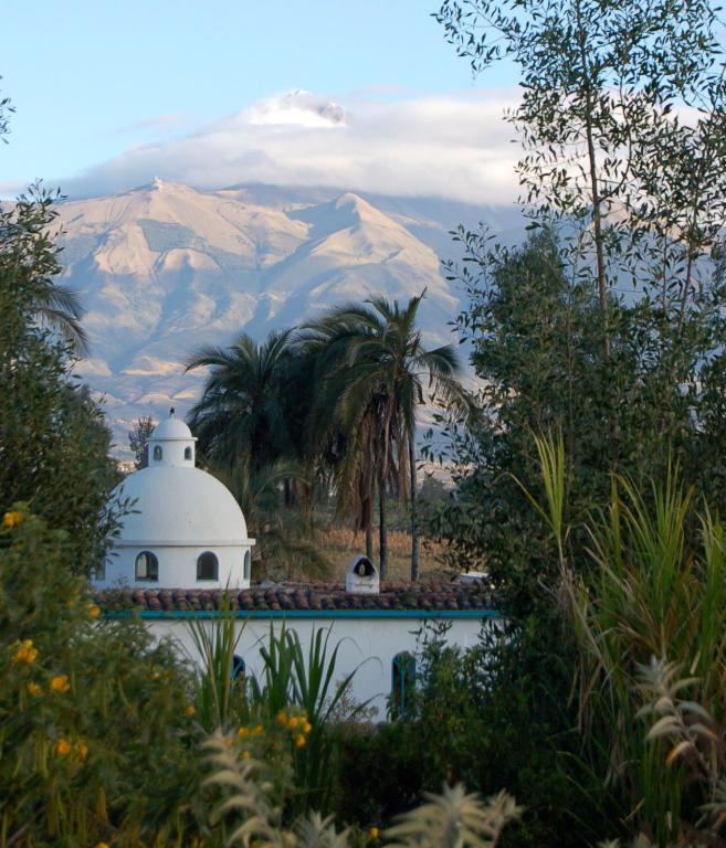 Las Palmeras Inn - B&B Otavalo