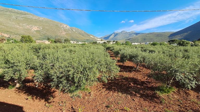 Casa Inzirillo Rappa con giardino - B&B Castelluzzo
