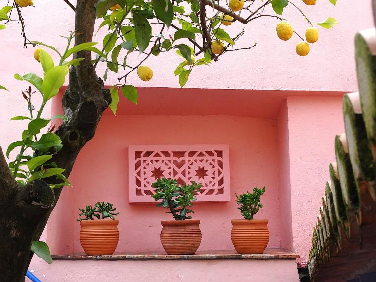 Casa do Limoeiro - sleeps up to 4 comfortably - Chambres d'hôtes Serpa